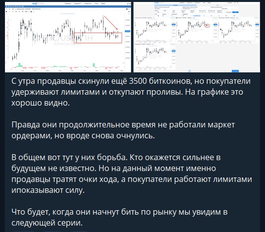 Проект Ковчег обман