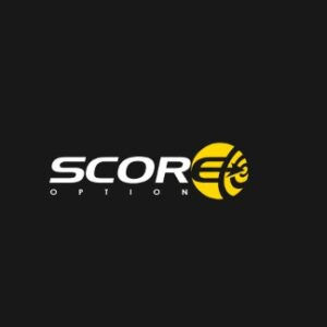 Проект ScoreOption.net