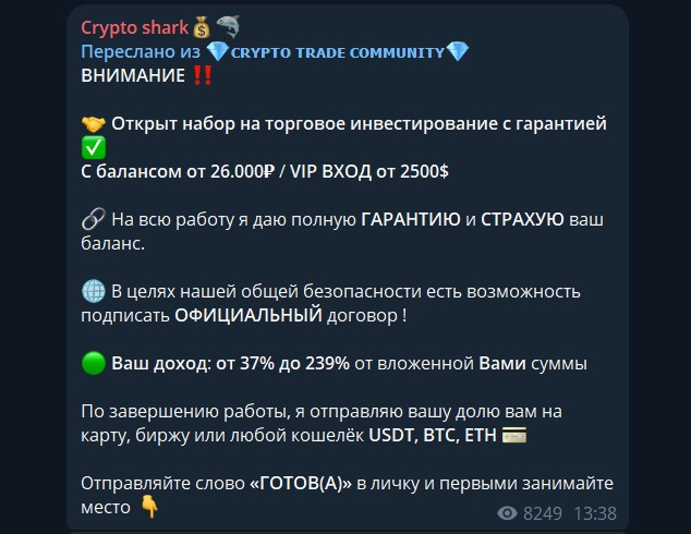 Crypto Shark телеграмм канал