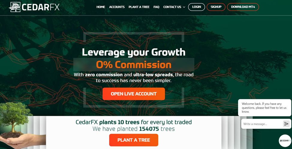 cedar fx отзывы