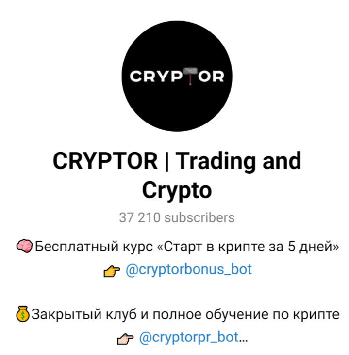 cryptor blog отзывы