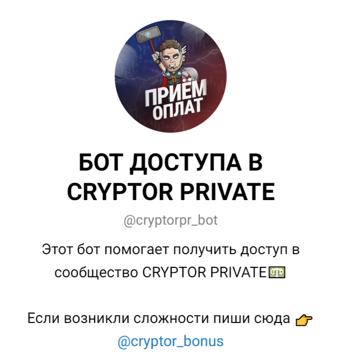 cryptor blog ютуб