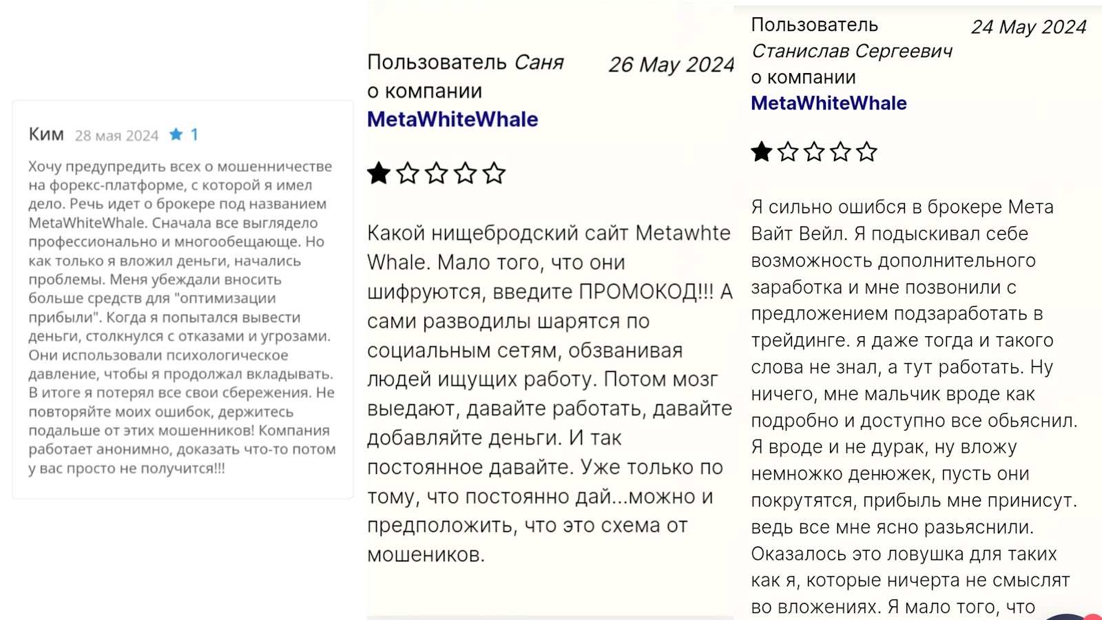 metawhitewhale com