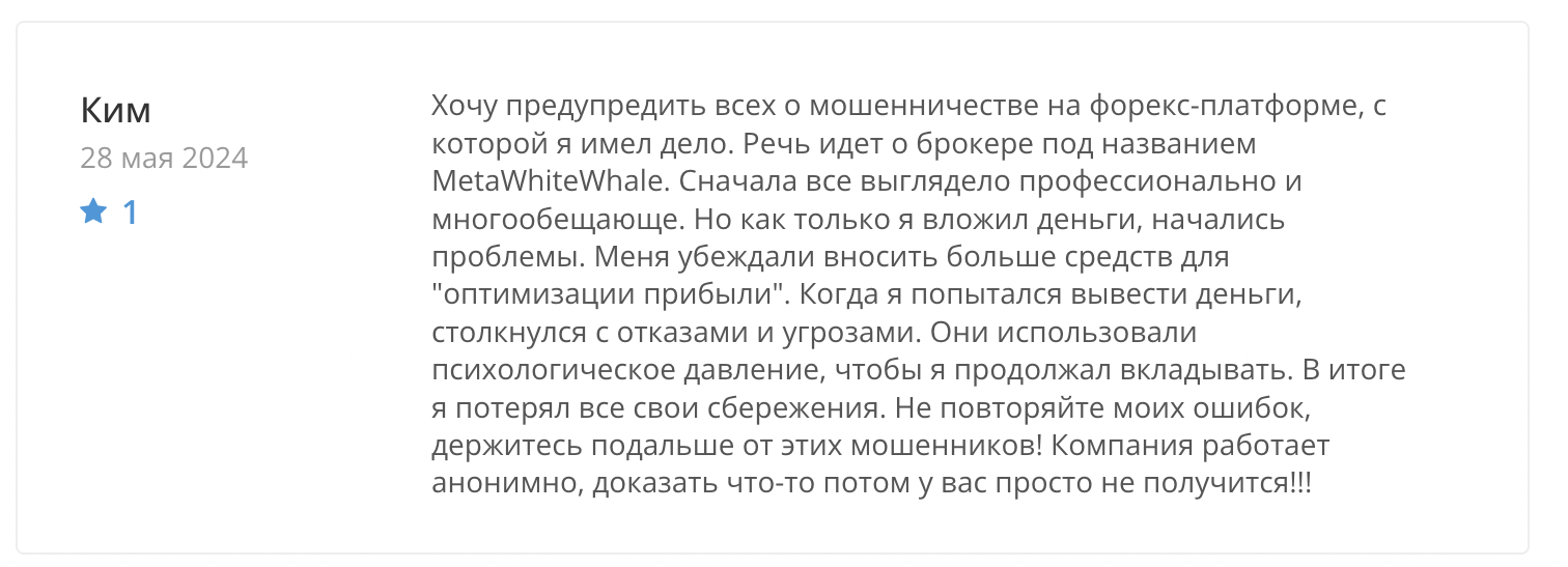 metawhitewhale реальные отзывы