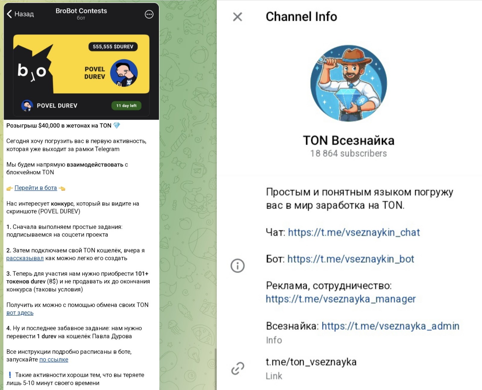 тон всезнайка