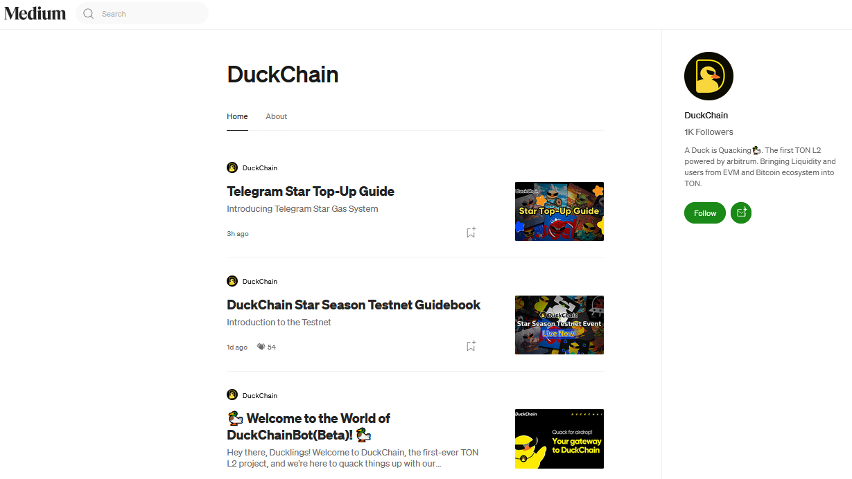 duckchain когда листинг