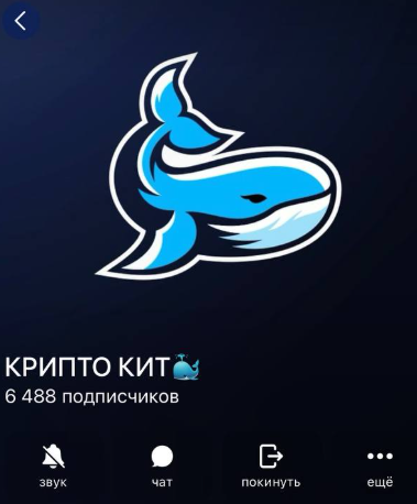 крипто кит отзывы