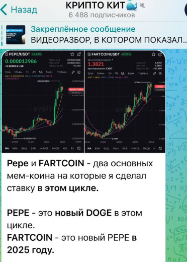 крипто кит отзывы