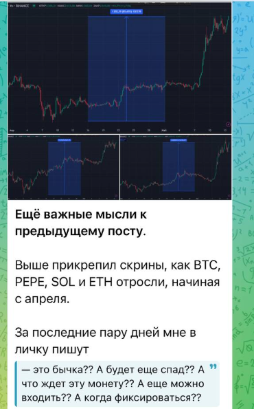 крипто кит отзывы